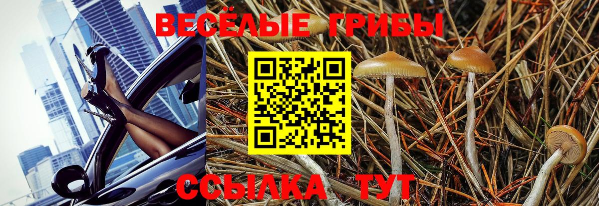 LSD-25  Конопля  Норильск  ГАШИШ  Вход с VPN  МЕФ кристаллы  Экстази  КОКАИН 