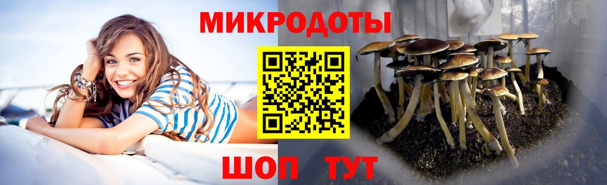 Псилоцибиновые грибы мицелий Норильск